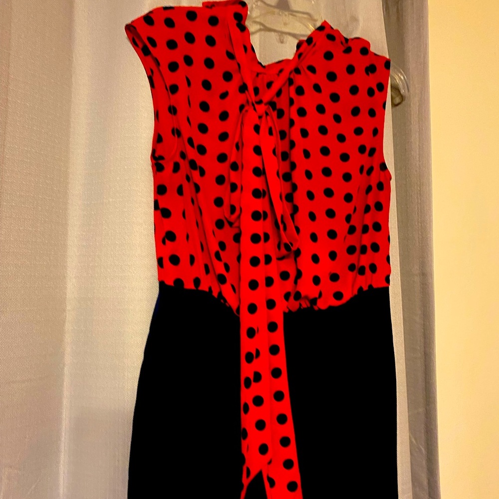 Great Dress for work or play